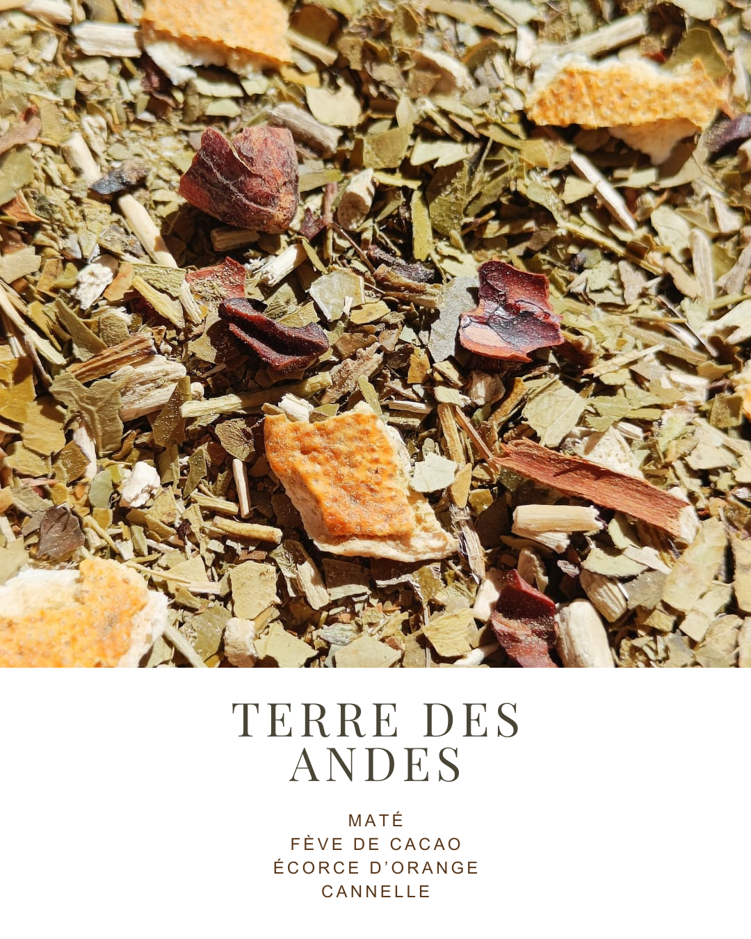 MATÉ | FÈVE DE CACAO, ÉCORCE D’ORANGE, CANNELLE - La Chinita