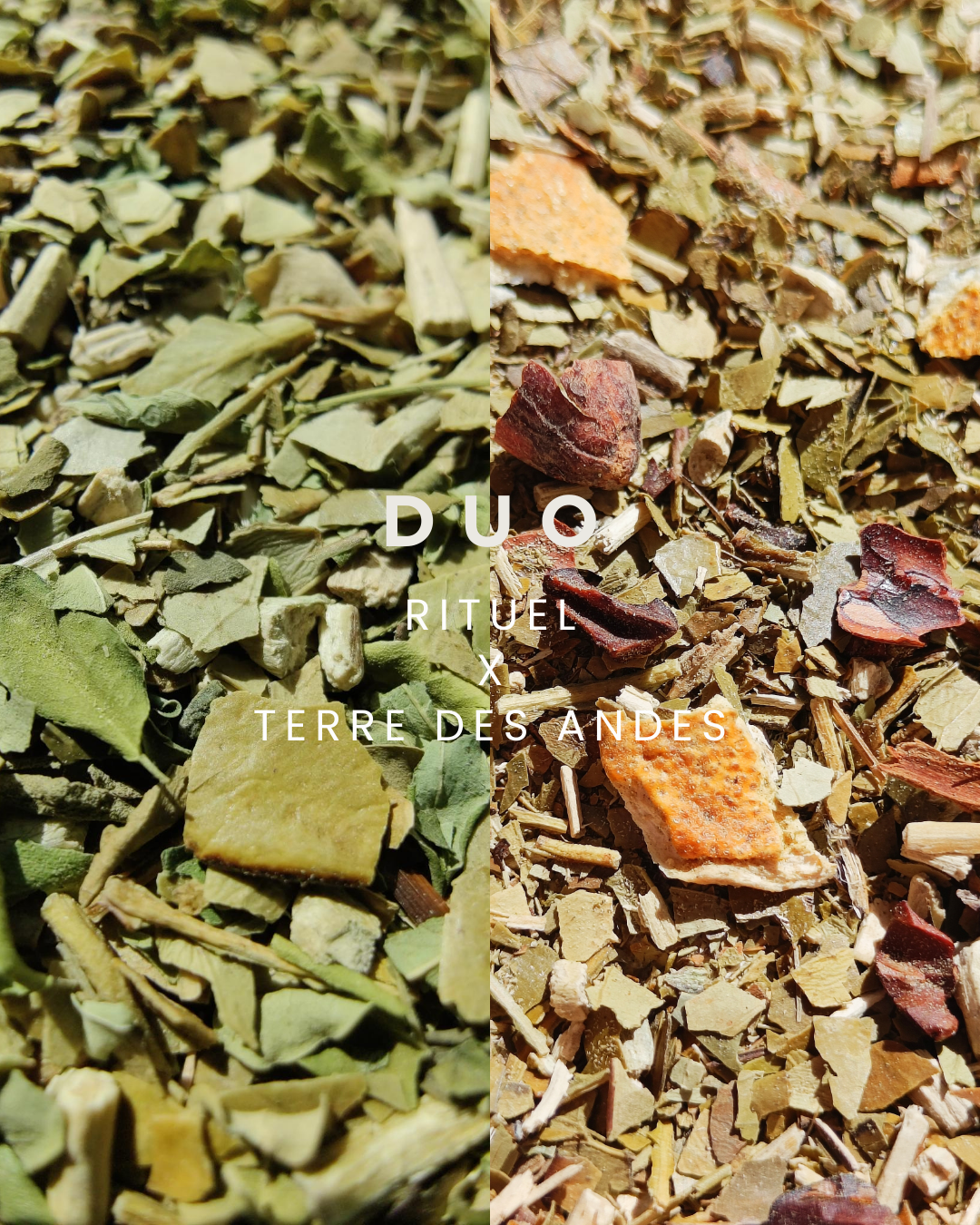 DUO RITUEL x FRAICHEUR / TERRE - La Chinita