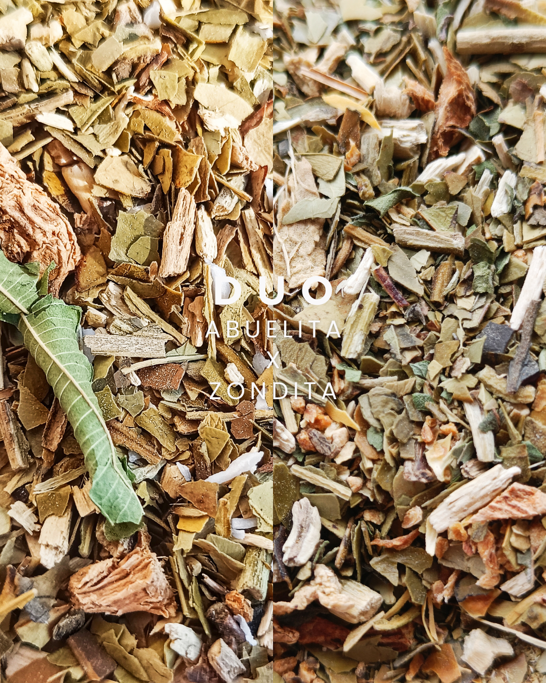 DUO DÉTOX GINGEMBRE - La Chinita