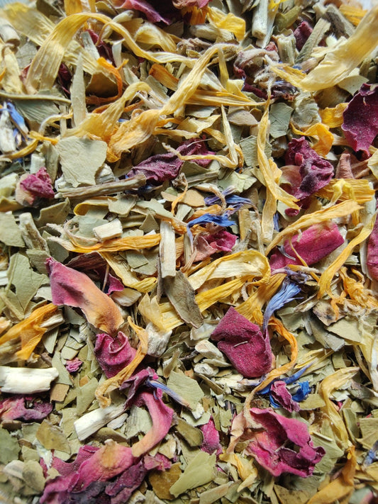 ROSÉE DE PRIMAVERA • ÉDITION LIMITÉE - La Chinita