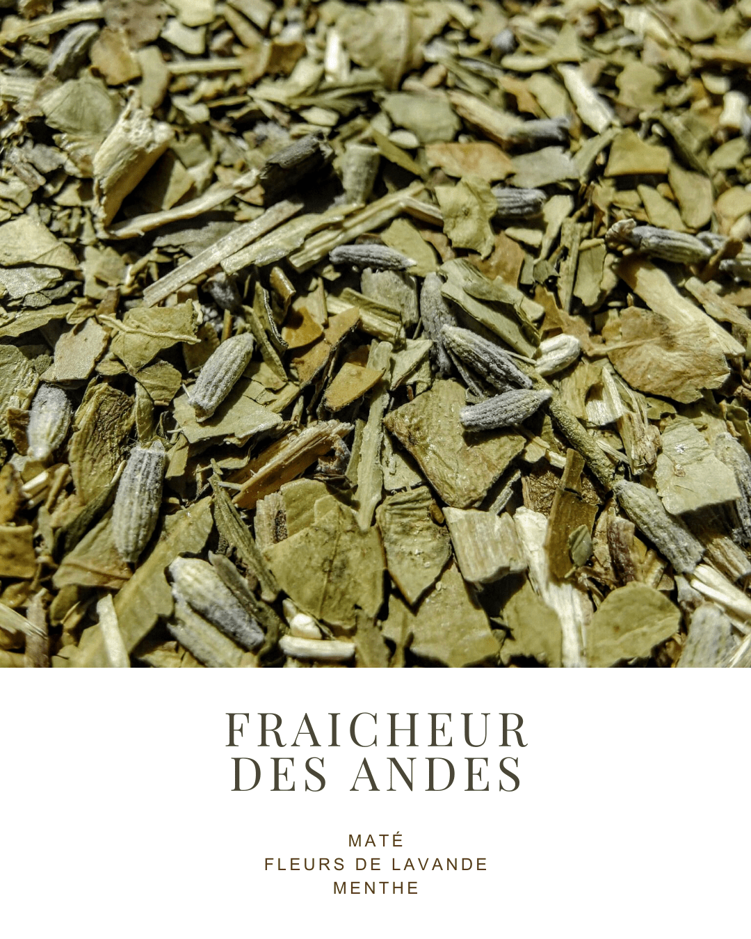 MATÉ | FLEURS DE LAVANDE, MENTHE - La Chinita
