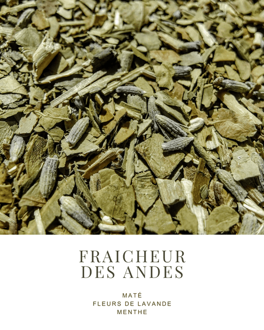 MATÉ | FLEURS DE LAVANDE, MENTHE - La Chinita