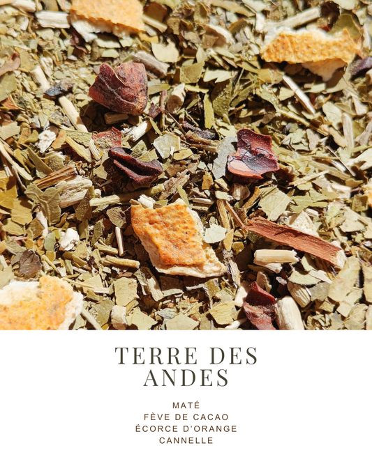 MATÉ | FÈVE DE CACAO, ÉCORCE D’ORANGE, CANNELLE - La Chinita