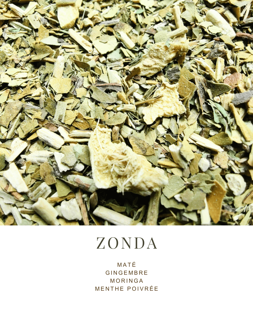 MATÉ | GINGEMBRE, MORINGA, MENTHE POIVRÉE - La Chinita