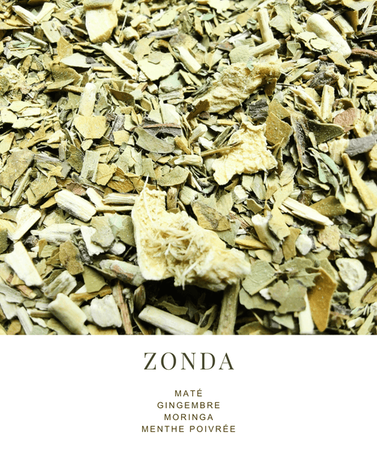 MATÉ | GINGEMBRE, MORINGA, MENTHE POIVRÉE - La Chinita