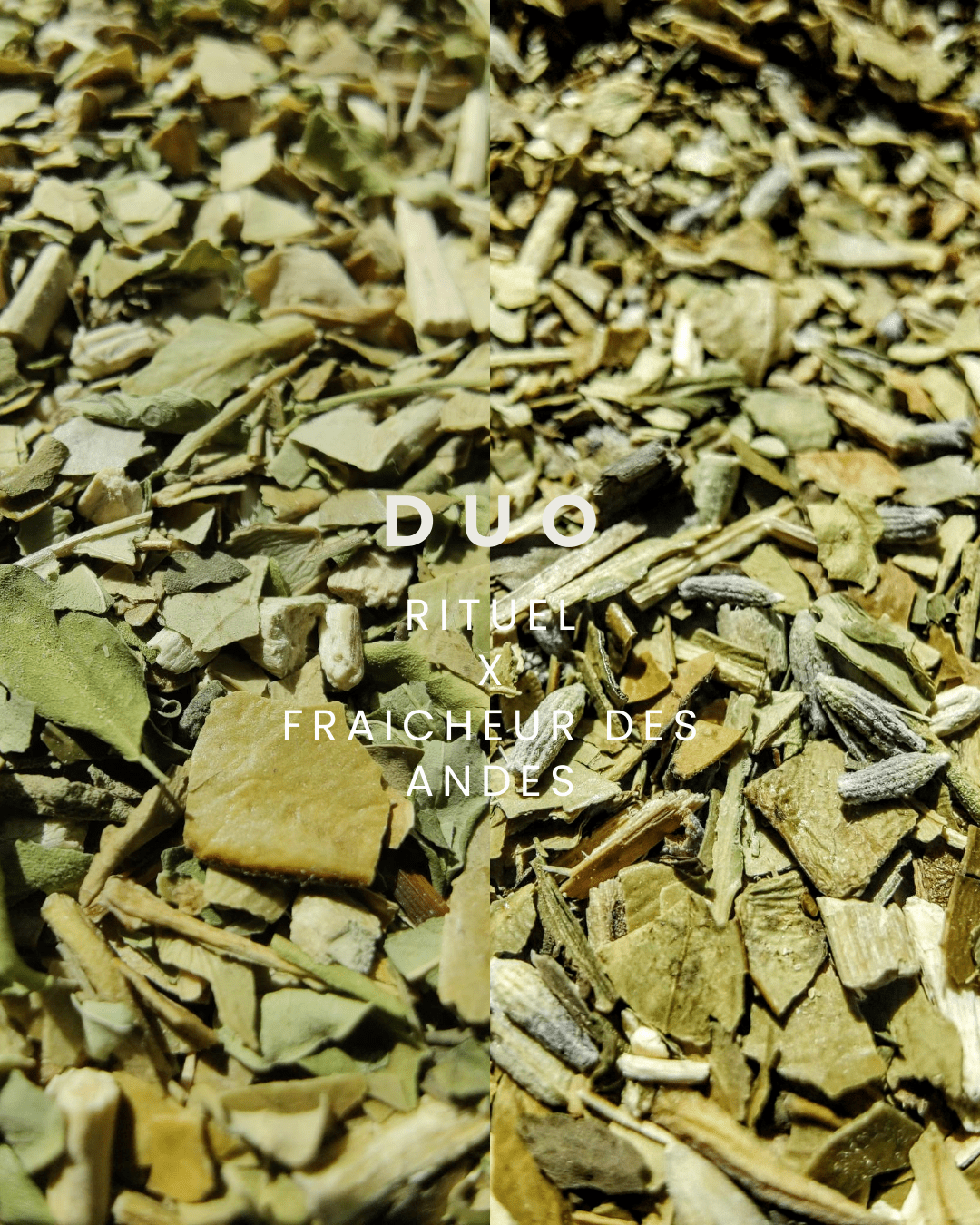 DUO RITUEL x FRAICHEUR / TERRE - La Chinita