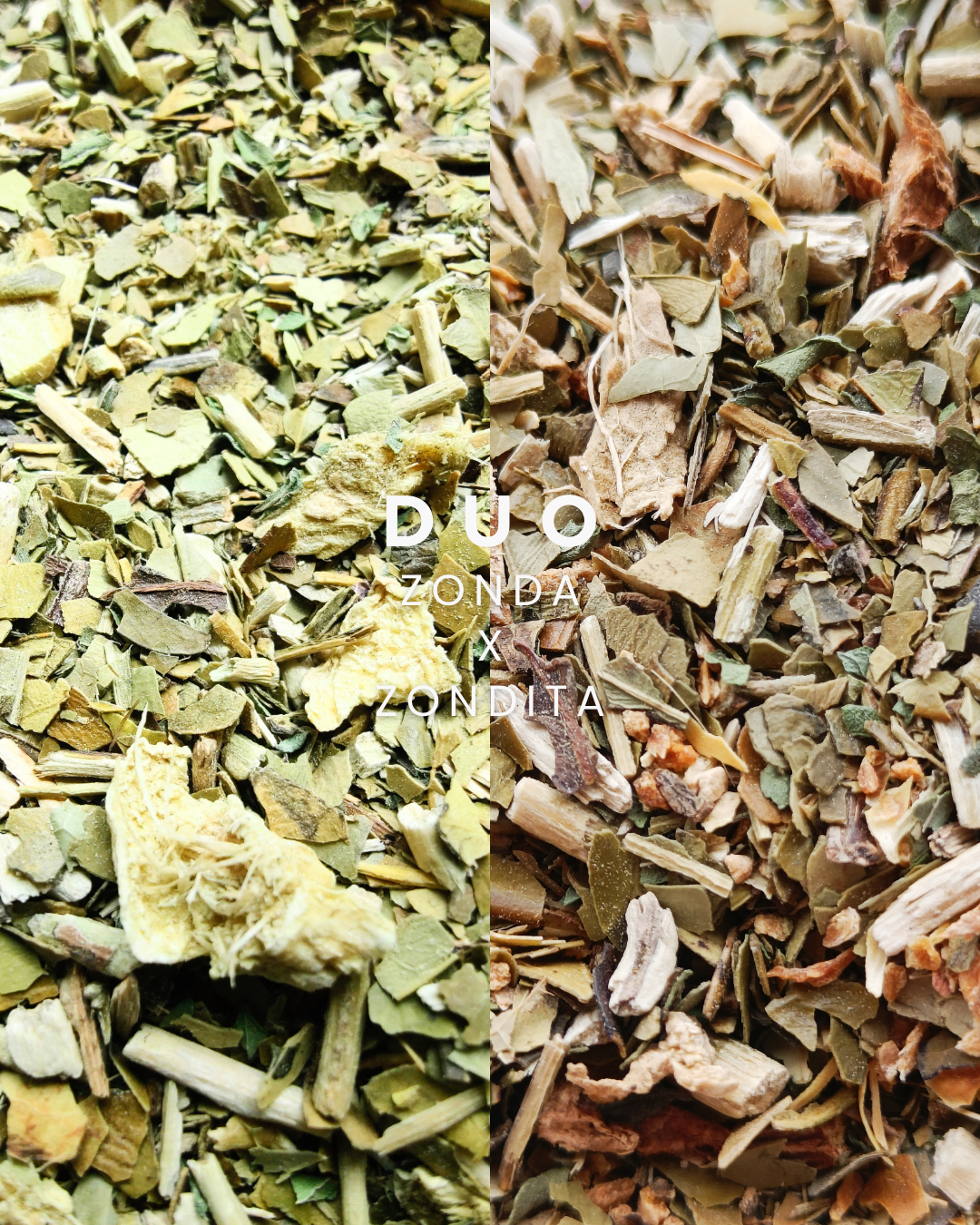 DUO DÉTOX GINGEMBRE - La Chinita