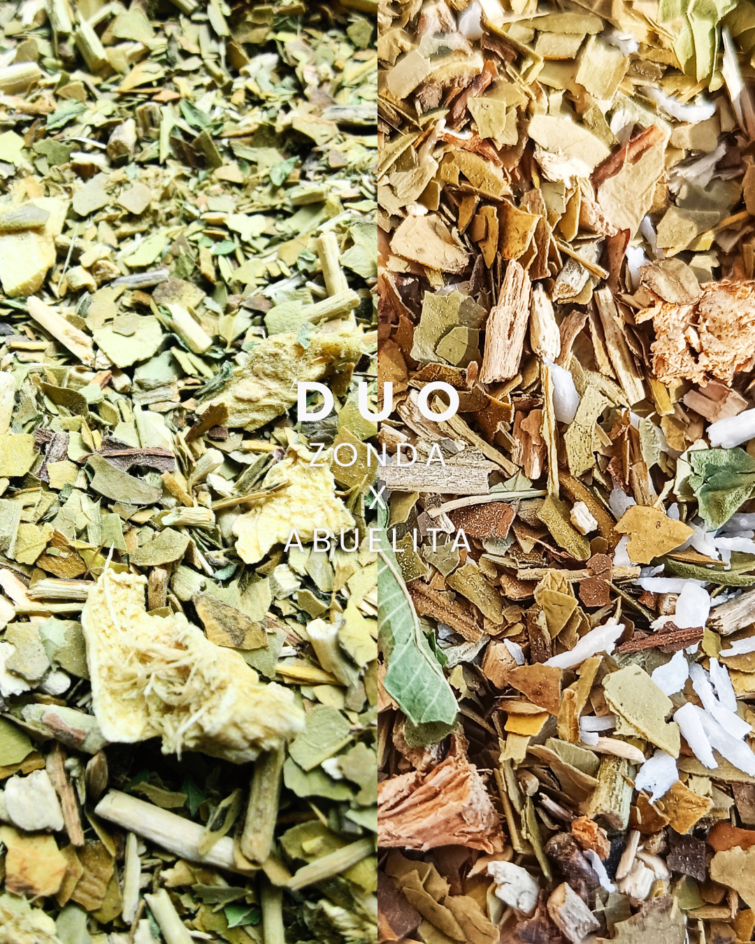 DUO DÉTOX GINGEMBRE - La Chinita