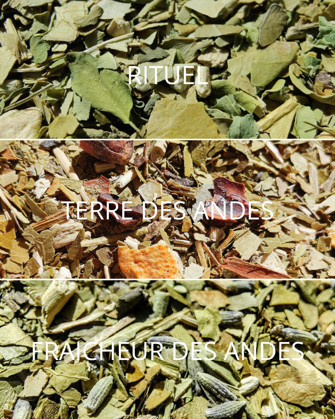 TRIO DÉCOUVERTE - La Chinita